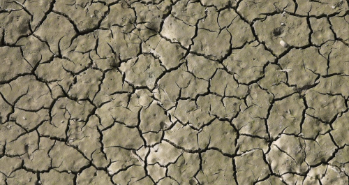 Drought in the Alpes-Maritimes region: 40 towns on alert, 5 on enhanced alert 