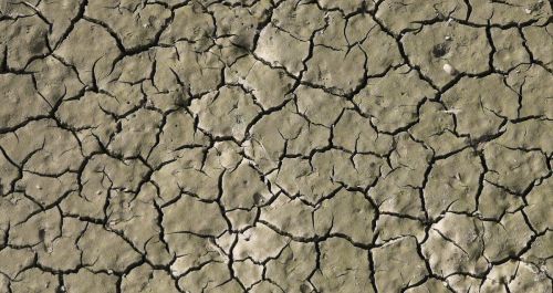 Driest year ever