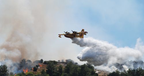 Forest fire 