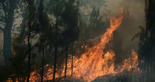 Update on the forest fires in the Gironde