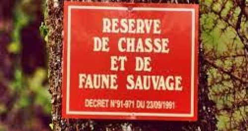 Decision on hunting to be announced by the French government today 