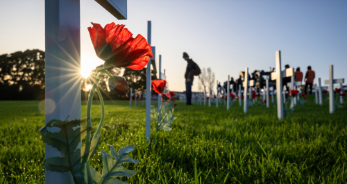 Evening Update Tuesday 11 November 2025