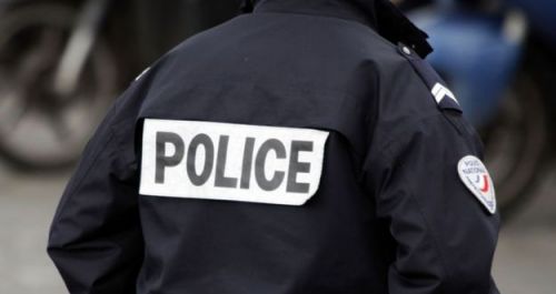 Fleas cause police station to close in Paris 