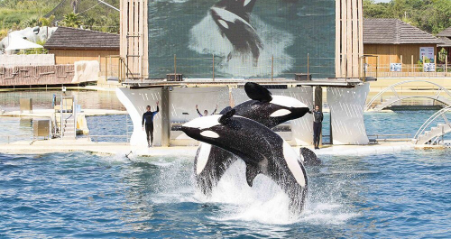 French and Riviera News Friday 7th November 2025