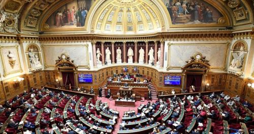 France’s upper parliament says yes to the pension reform now the turn of the national assembly to vote this afternoon at 3pm