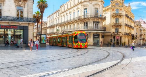  Most beautiful tramway in France is in Montpellier 
