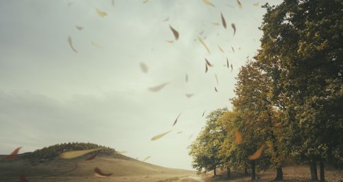 Cloud of sand forecast 